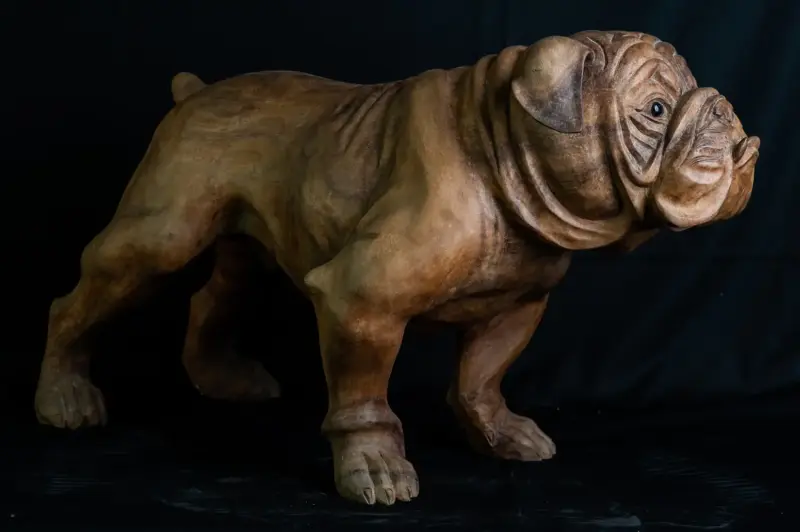 Product image 4 of the product “Standing French Bulldog made from suar wood, 75cm Height. ”